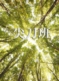 理论片a